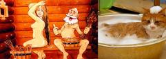 Рыжая кошка в бане